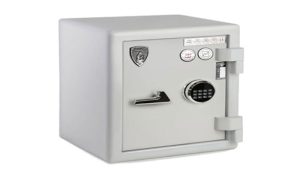 گاوصندوق روستیک چیست و قیمت آن چقدر است؟